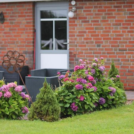 Balzwiekje Auszeit Auf Pferdehof In Ostfriesland Ihlow  외부 사진